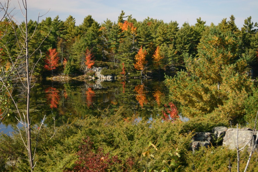 Canadian Shield  Stoness Travel Blog