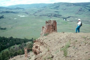 Fossil Stump in Yellowstone NP