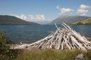 Konni Lake Campground area en route to the Provincial Park.