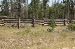 Pole Snake fence.