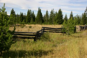 Rustic Log Snake Fences