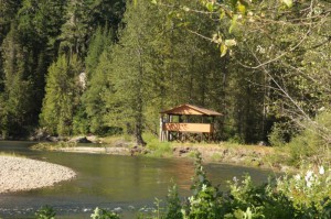 Bear Viewing Platform