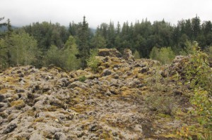 Basalt lava flow covered with mosses and lichens
