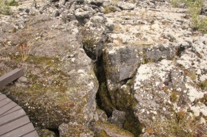 Cracks in frozen lava flow