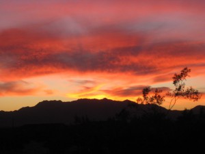 Arizona Sunset