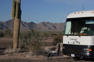 Desert Relaxation