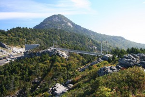 Suspension Bridge Walk